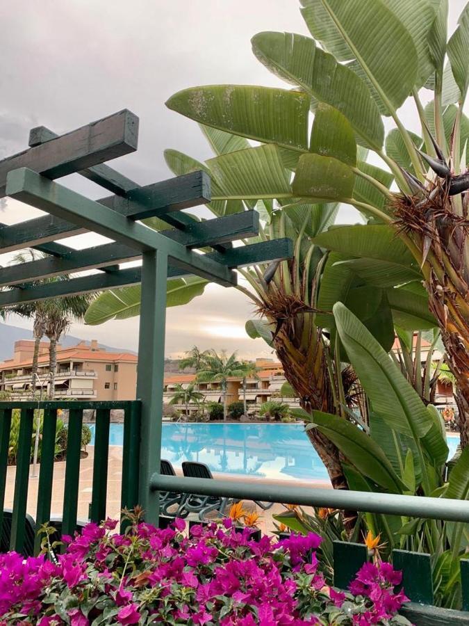 Piso Jardines Del Teide En El Puerto De La Cruz Daire Dış mekan fotoğraf